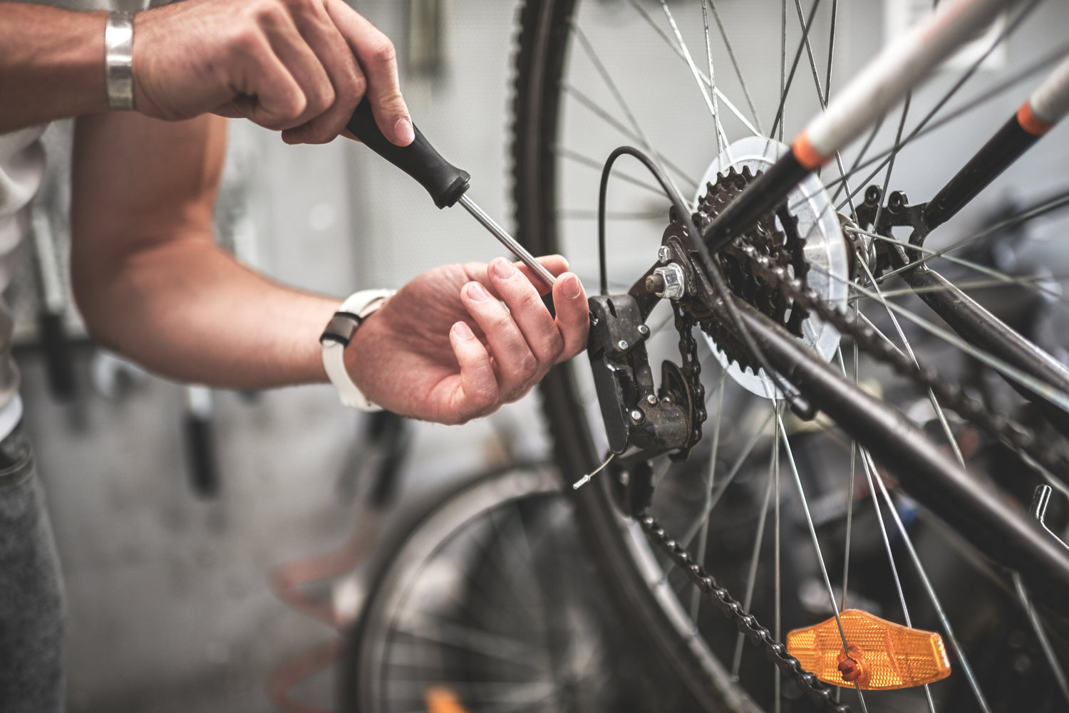 Repair & Maintenance